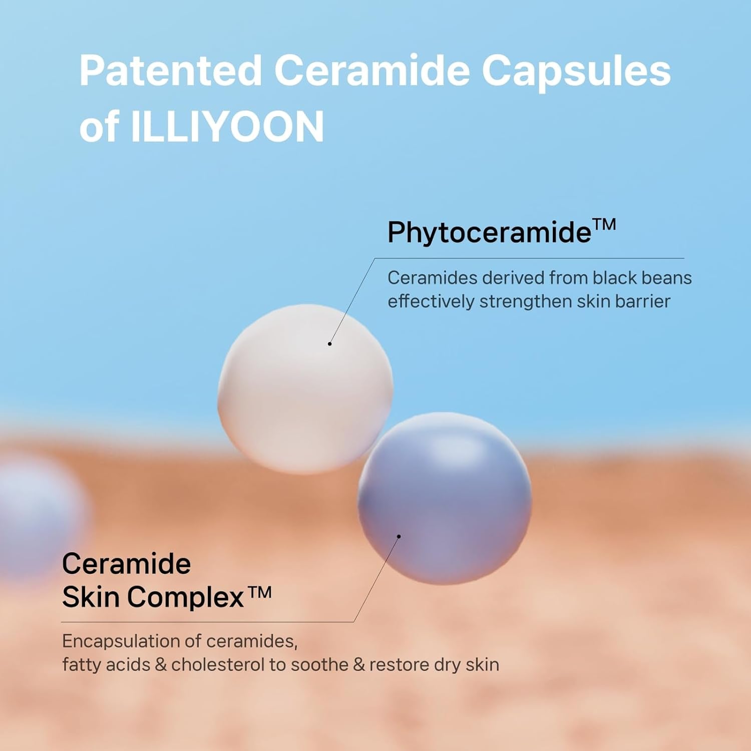 ILLIYOON Ceramide Ato Concentrate Cream (200Ml, 6.76 Fl Oz) | Moisturizer