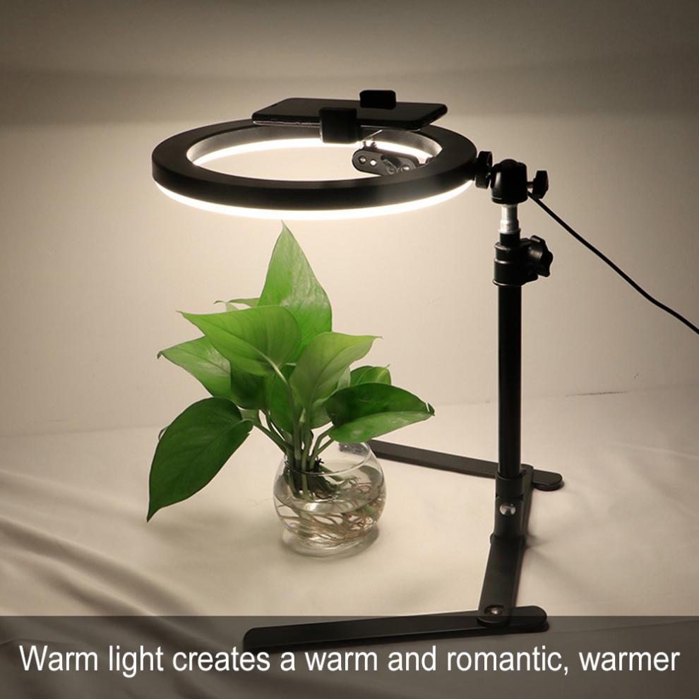 Still Life Shooting Of Tabletop Overhead Stand